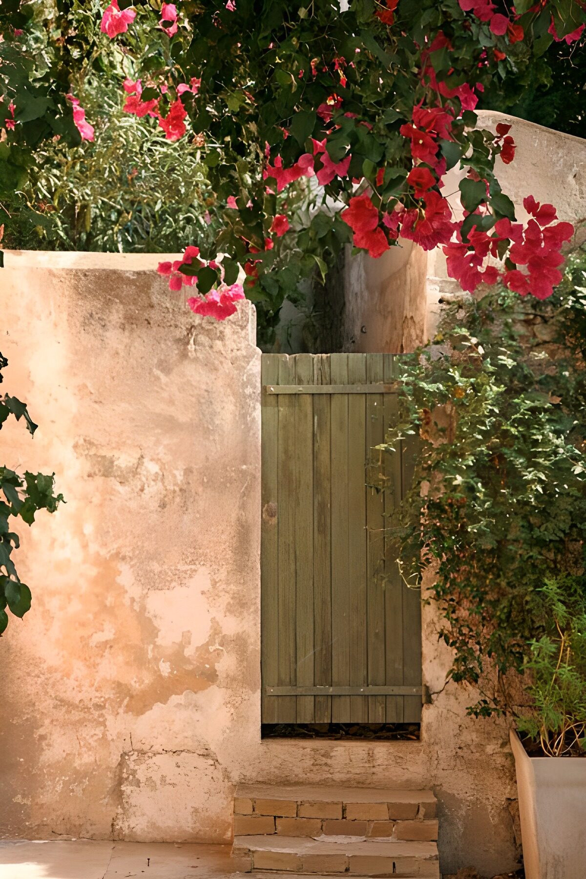 TPDE98323: hölzernes Tor in einer Mauer und Blumen
