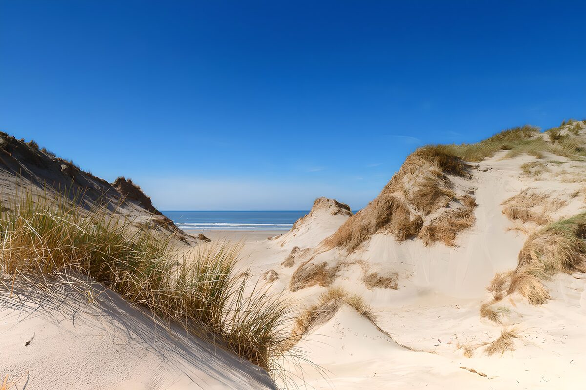 TPDE56763: Dünenszene am Strand