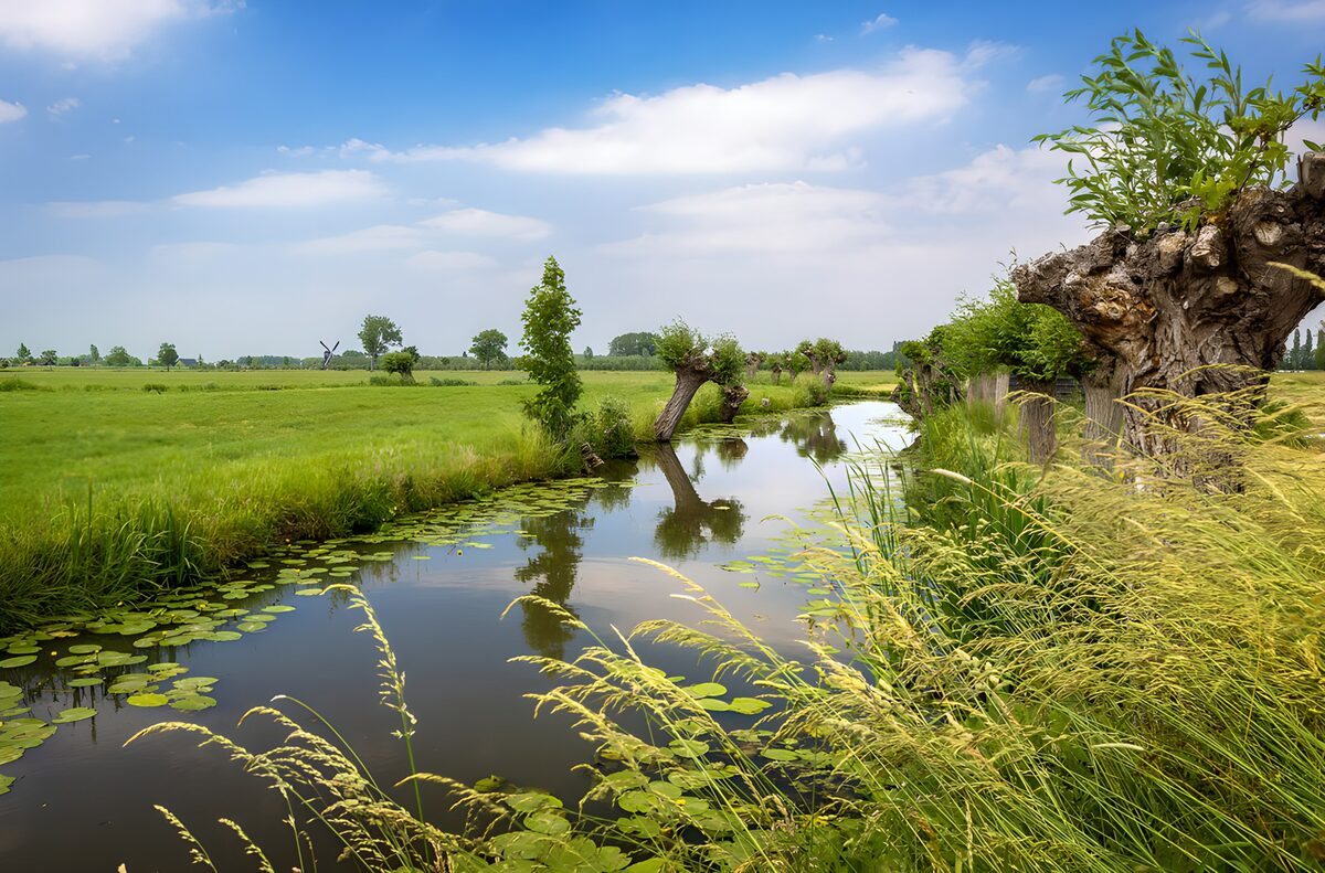 TPDE44070: Ruhiger Fluss in der Natur