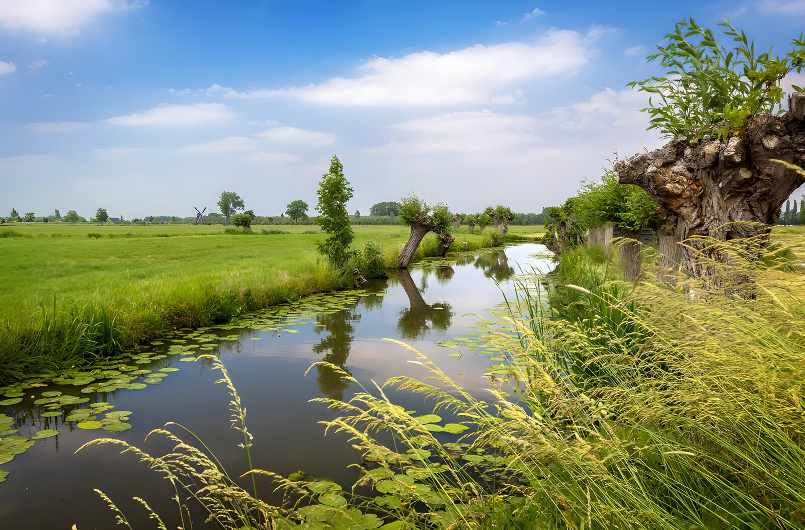 TPDE44070: Ruhiger Fluss in der Natur