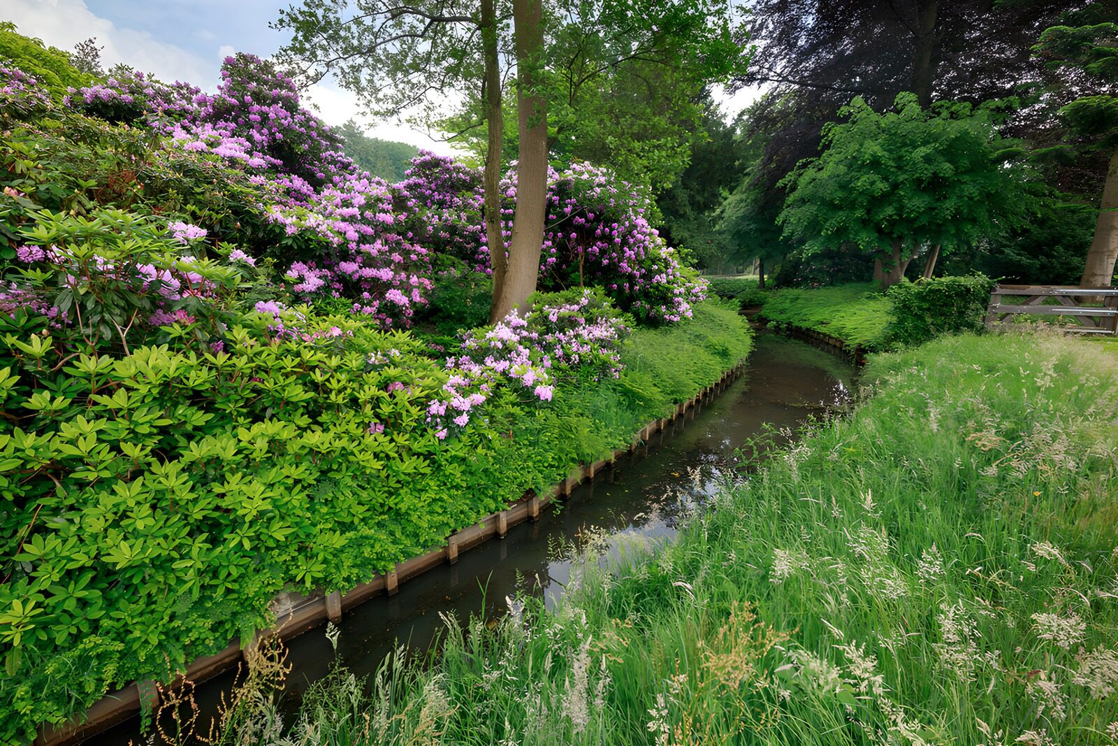 TPDE70419: Bunte Frühlingslandschaft mit Wasserlauf