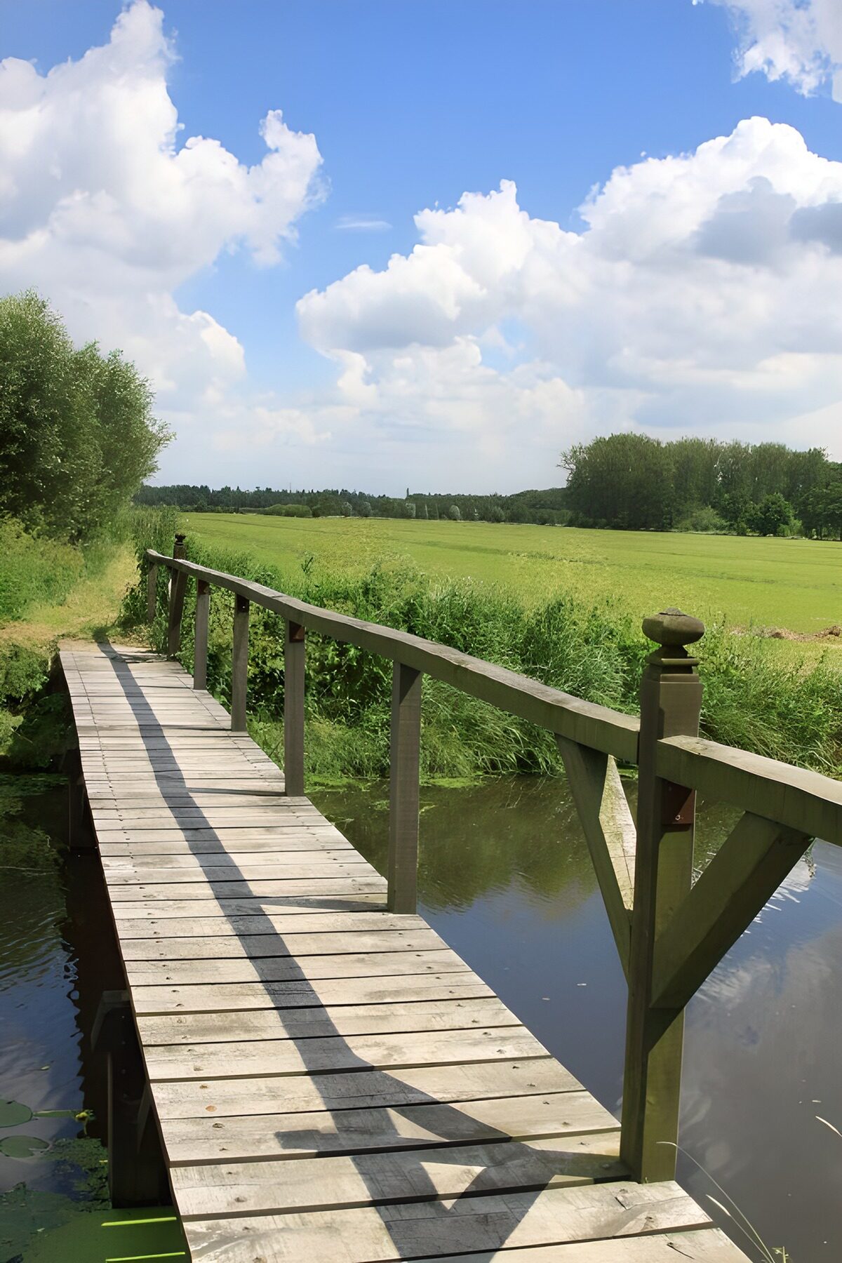  Steg über Graben mit Blick auf eine Weide