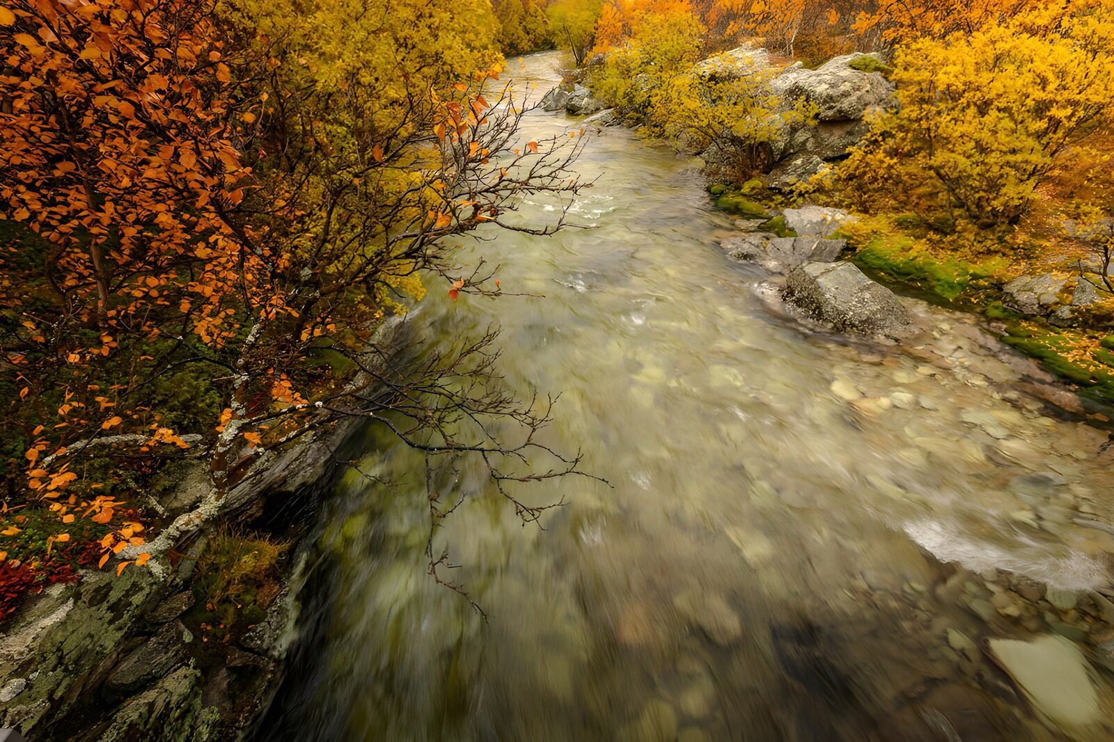 TPDE44052: Fluss zwischen bunten Herbstbäumen