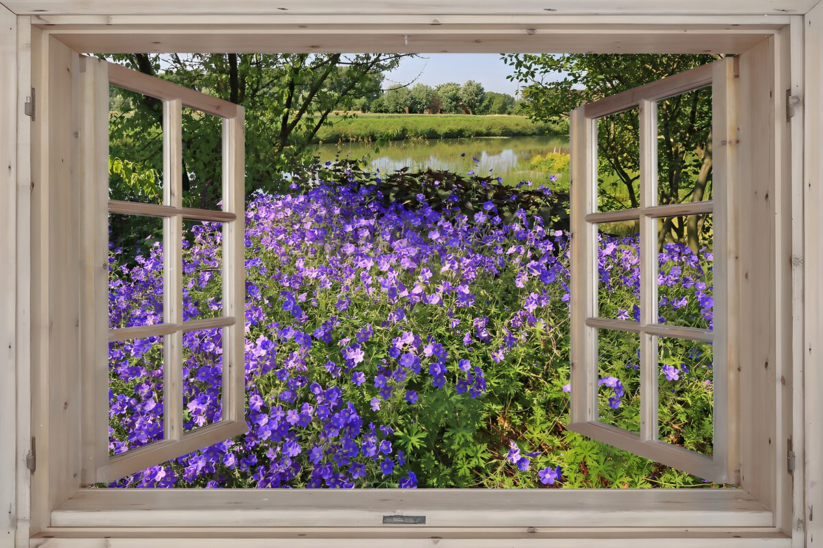 TPDE72547: Blühendes Fenster zur Natur