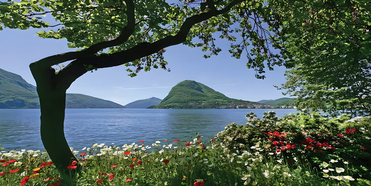 im Vordergrund rote und weiße Blüten, dann der See und zum Schluß die Berge im Hintergrund! Märchenhaft!