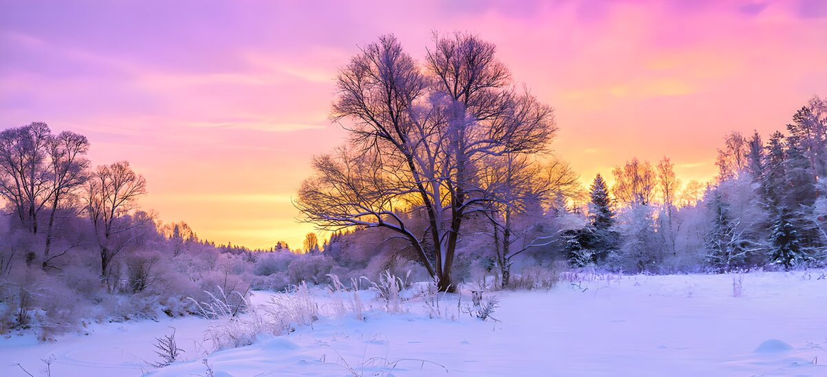 TPDE51600: Wintermorgen im Farbenspiel