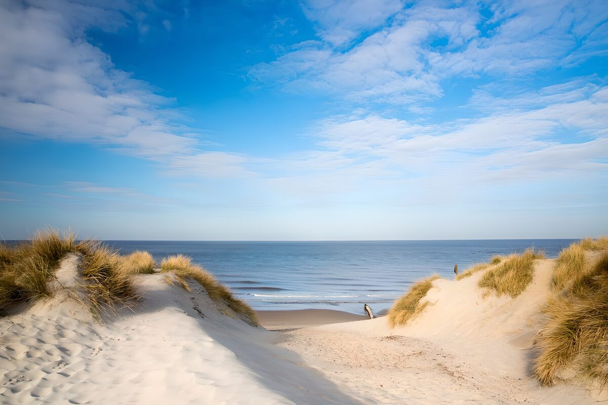 TPDE31368: Dünen mit Blick aufs Meer