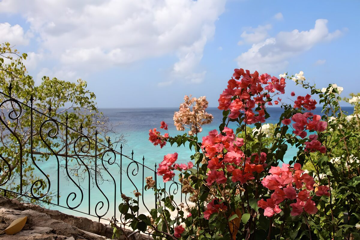 wunderschöne Aussicht mit Bougainvillea