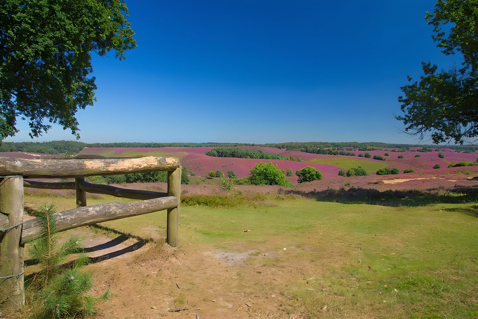 TPDE42634: Gatter mit Blick auf die Heide