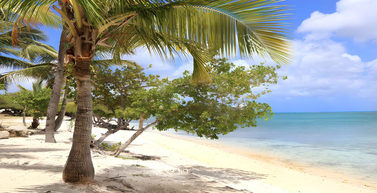 TPDE17733: Tropischer Strand mit Palmen