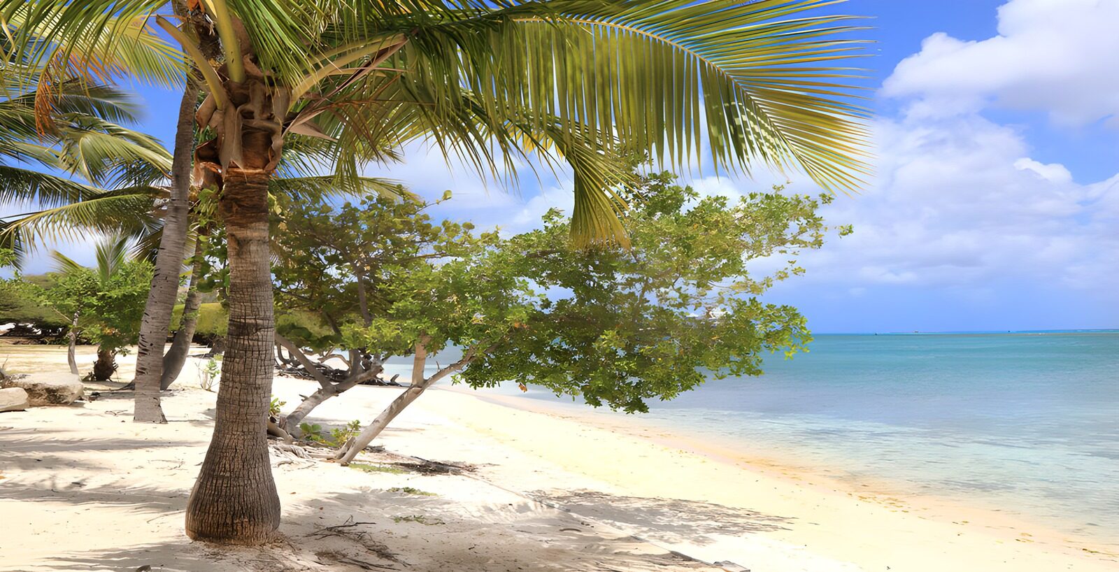 TPDE17733: Tropischer Strand mit Palmen
