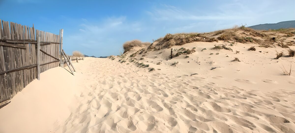 TPDE80264: Sandweg mit Windschutz in den Dünen zum Strand