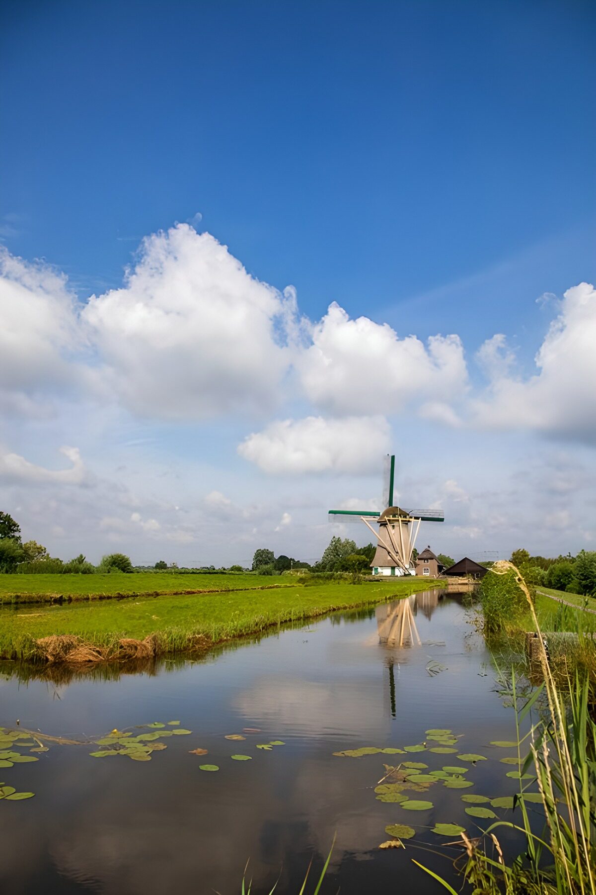 TPDE13020: Windmühle im Grünen unter blauem Himmel