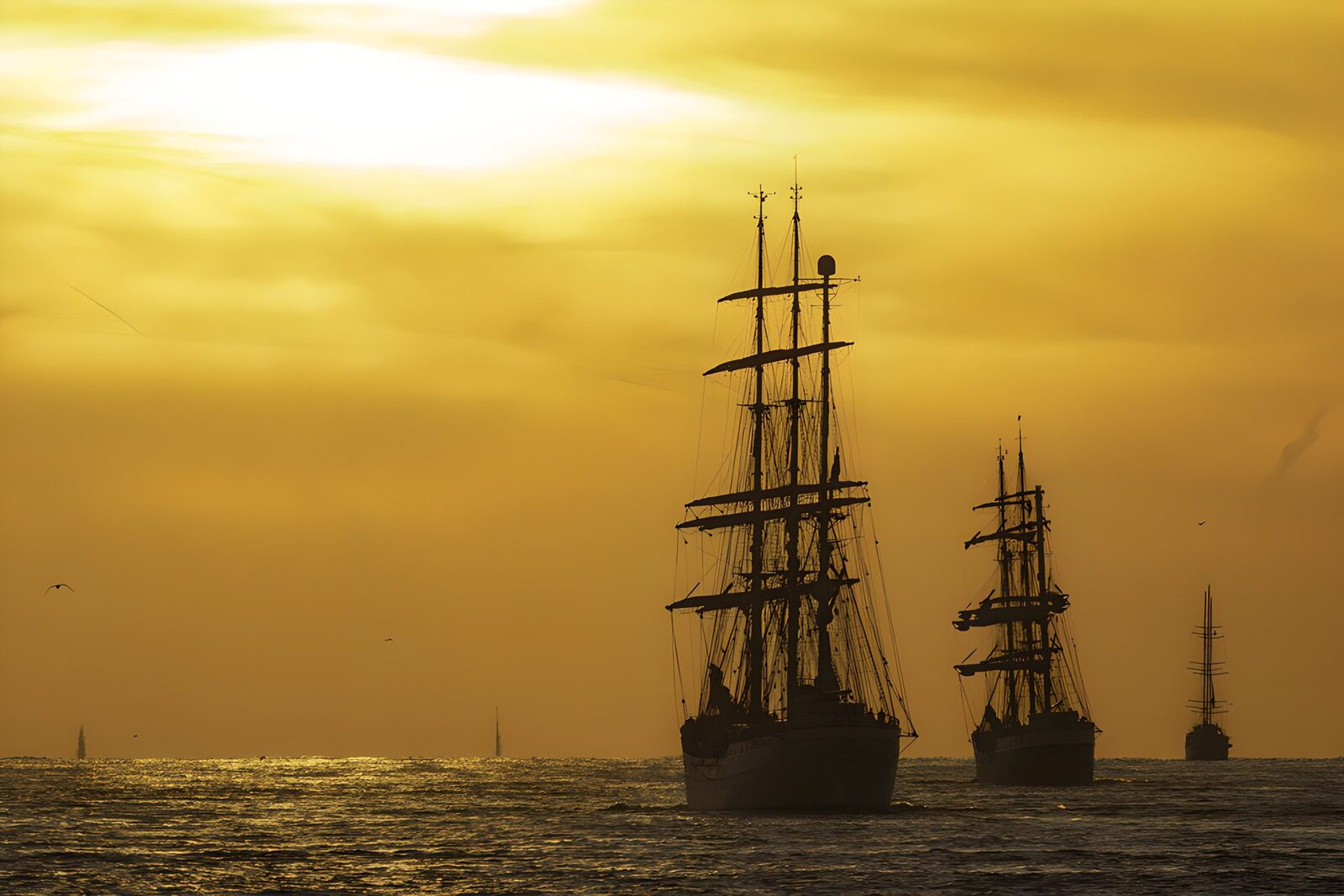 TPDE57322: Majestätische Segelschiffe im Sonnenuntergang
