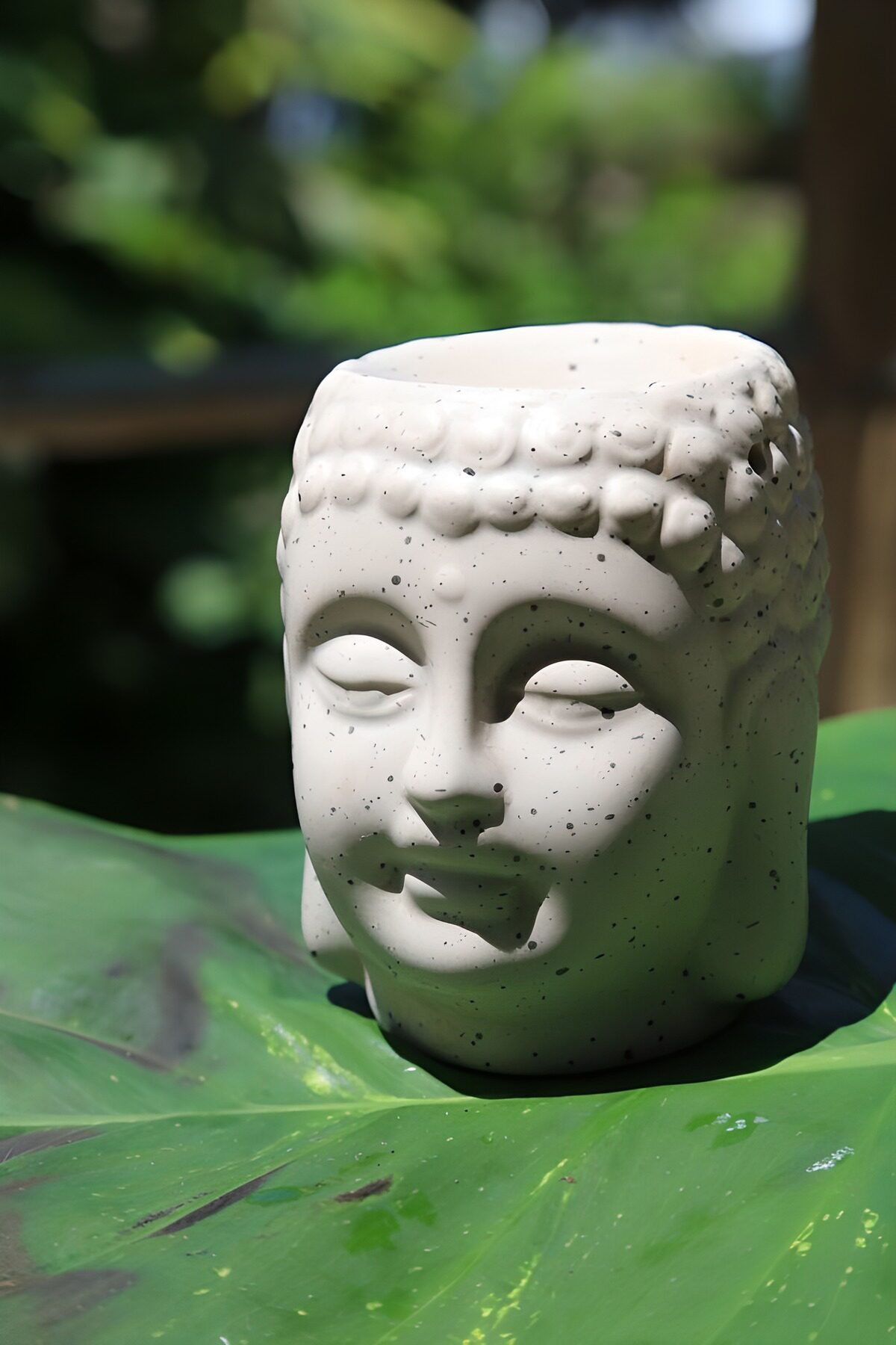 TPDE36761: Buddha-Kopf auf grünem Blatt