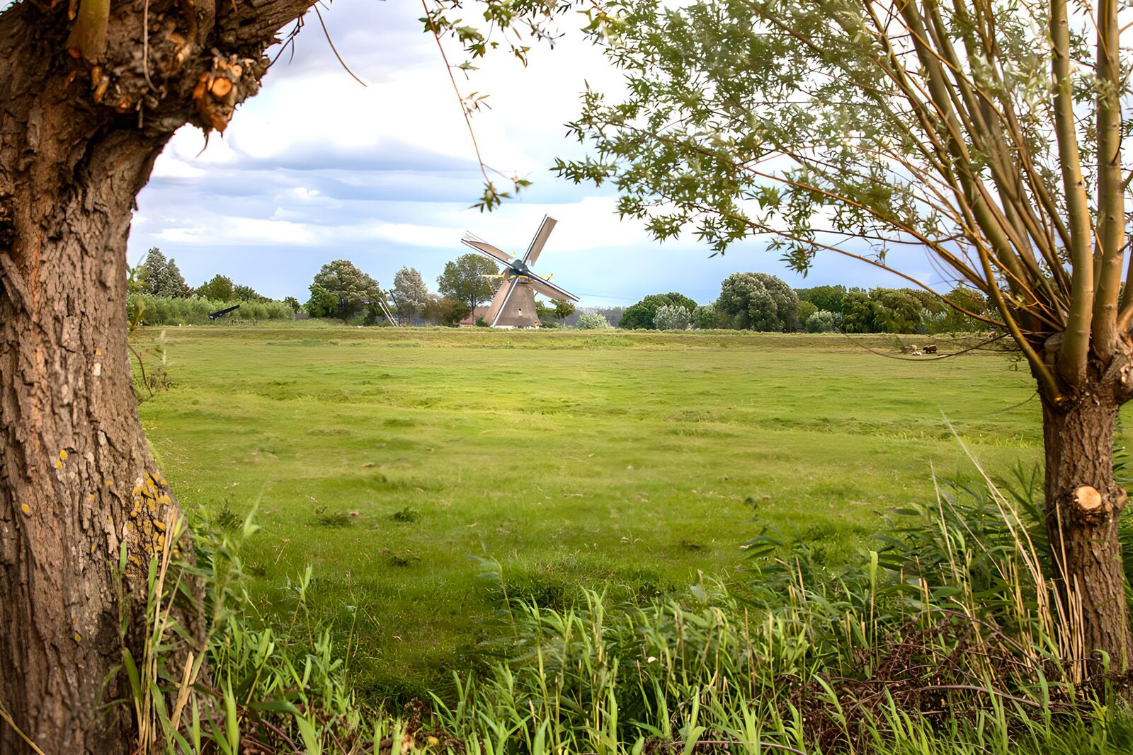 TPDE12618: Holländische Aussicht auf Wiese und Mühle
