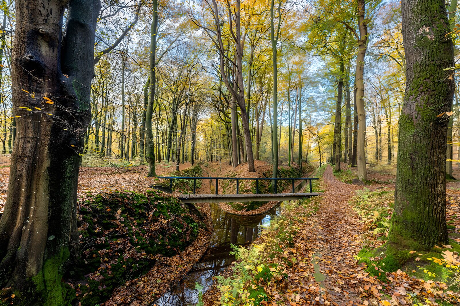 TPDE92342: Herbstliche Waldlandschaft mit Brücke
