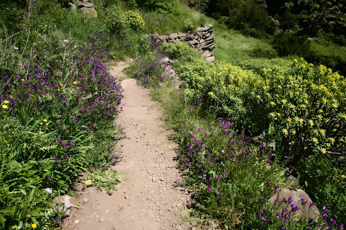 TPDE29879: Wanderweg durch die Berge auf La Gomera 10