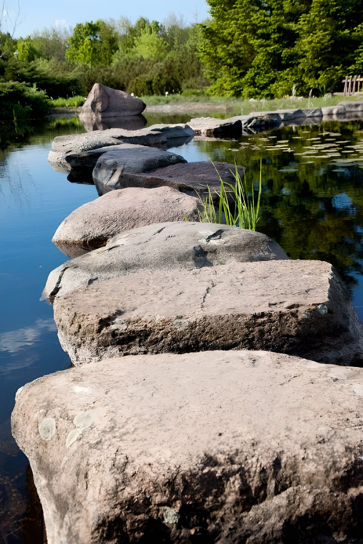 TPDE80834: Steine in einem Teich, über die man gehen kann