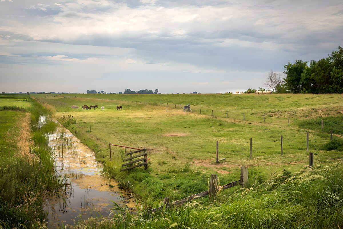 TPDE87797: Ruhige Landschaft mit Weide und Wasser