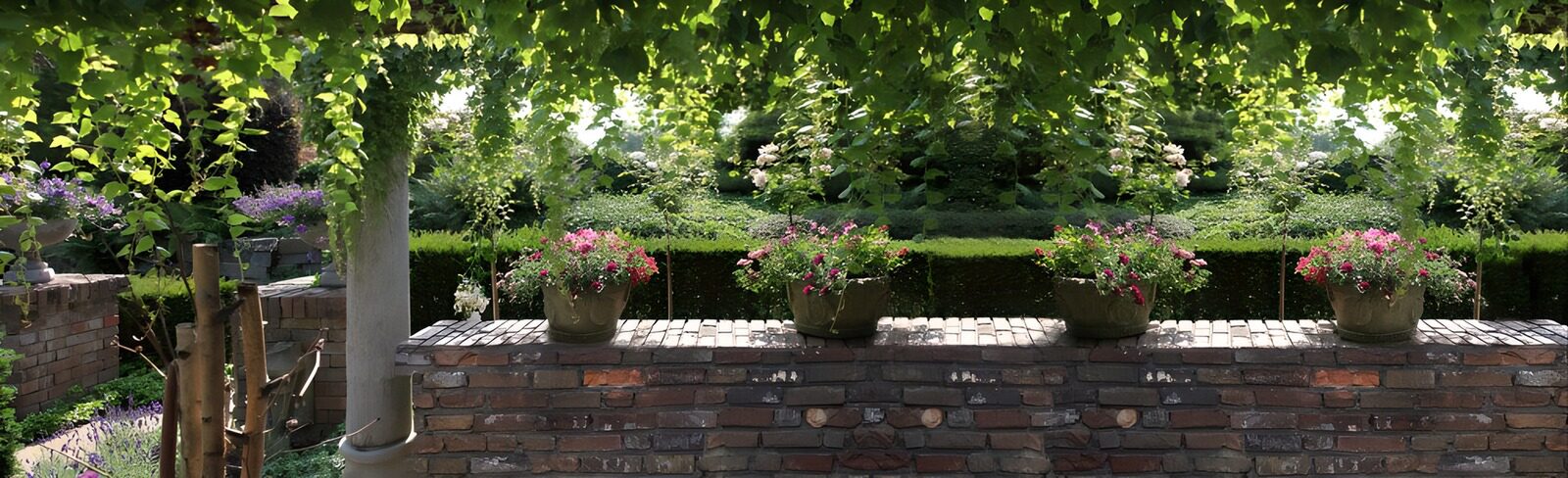 TPDE27513: Blick  auf Säulen, Kletterpflanzen, geschnittene Hecken und Topfpflanzen auf einer niedrigen Mauer in einem Park