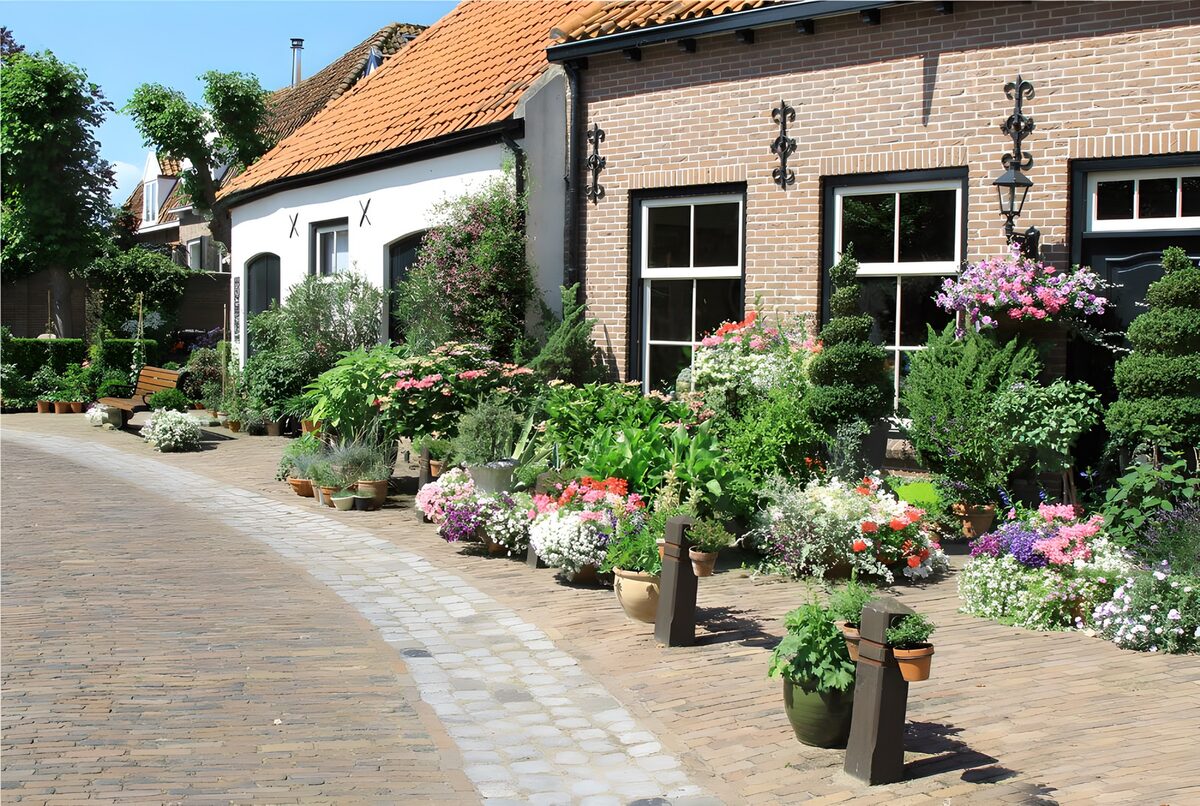 Vorgarten eines Hauses an einer gepflasterten Straße
