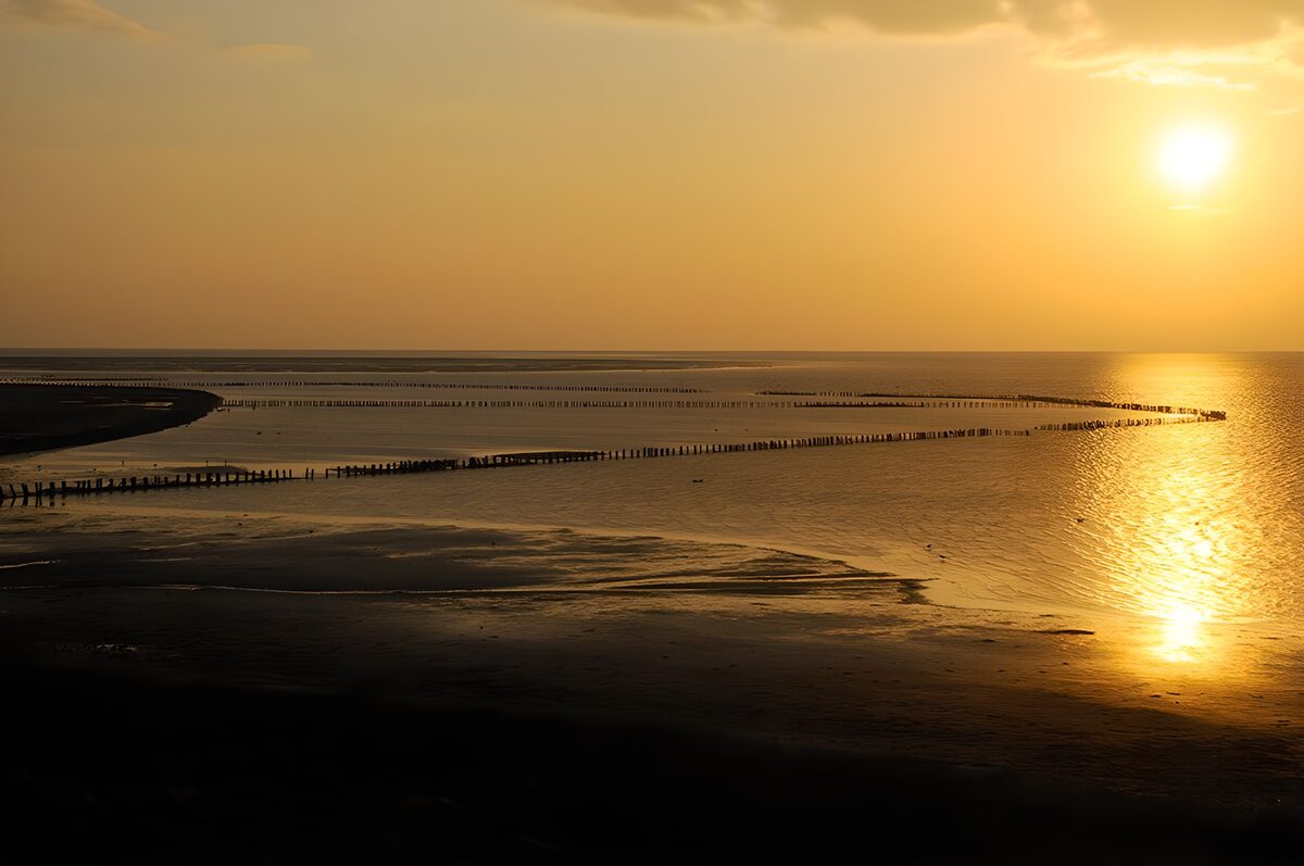 TPDE68134: neblicher Sonnenuntergang