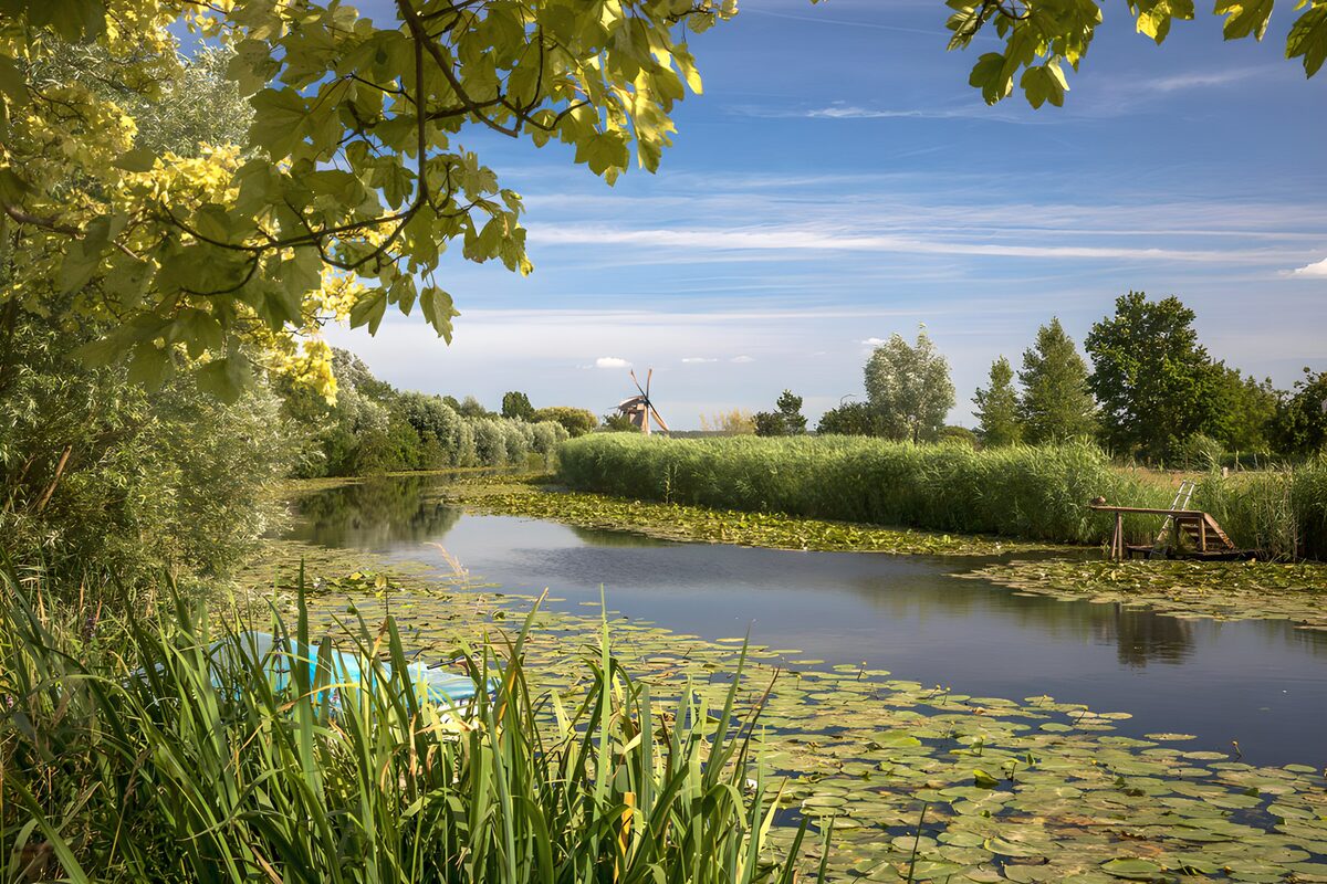 TPDE20640: Ruhiger Fluss mit Seerosen und Windmühle