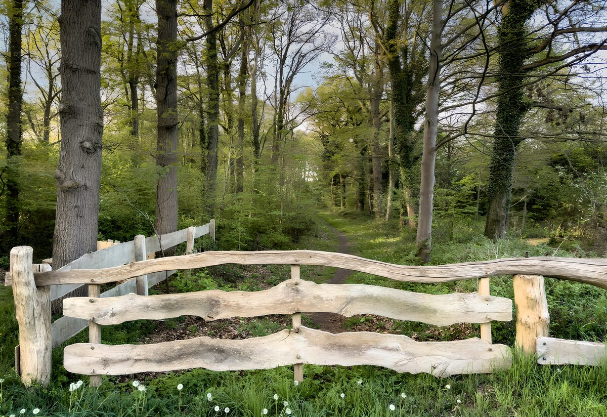 TPDE70086: Frühlingswald mit Naturzaun