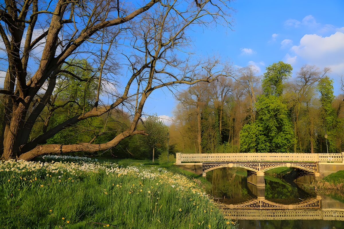 TPDE69480: Brücke widerspiegelt im Wasser
