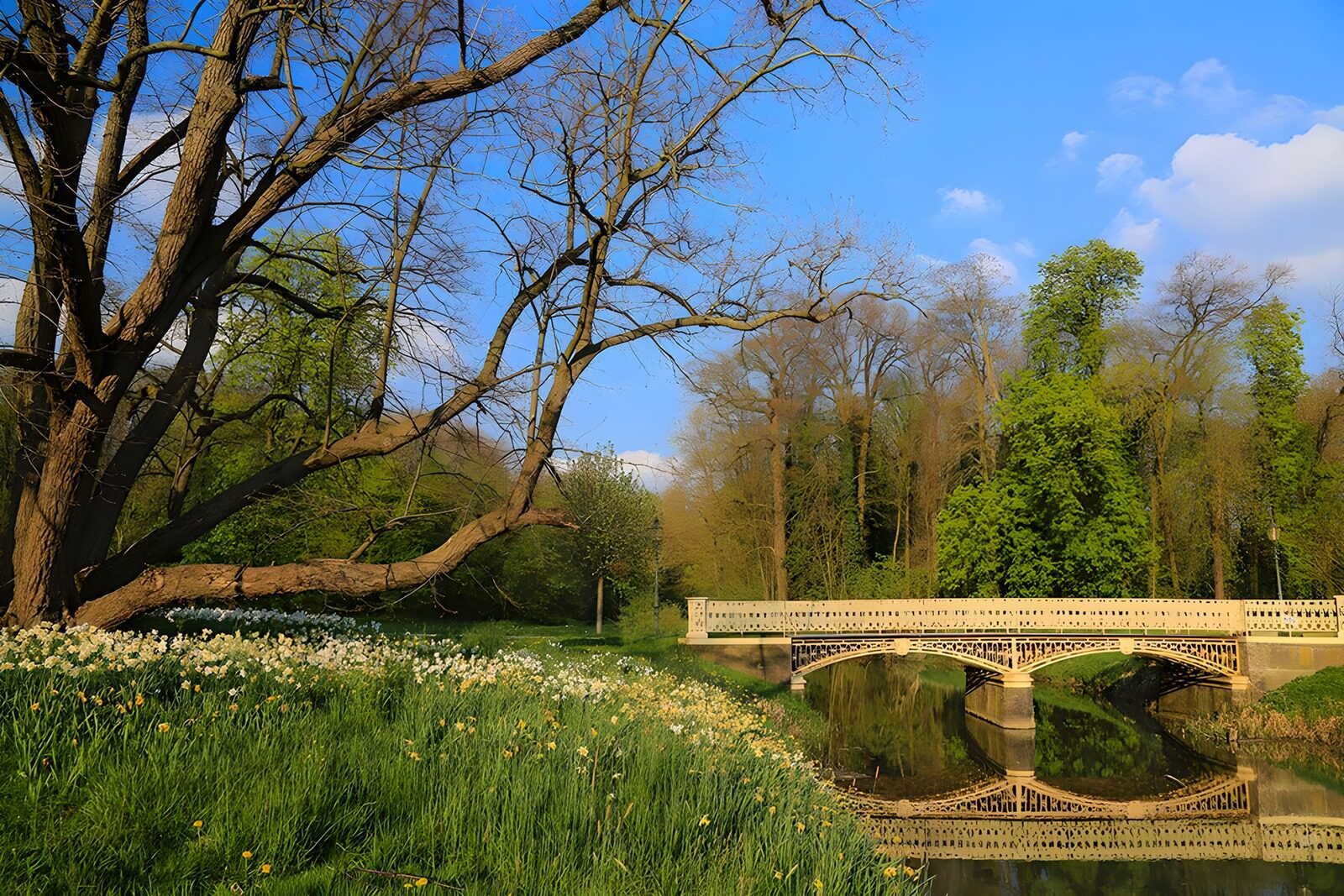 TPDE69480: Brücke widerspiegelt im Wasser