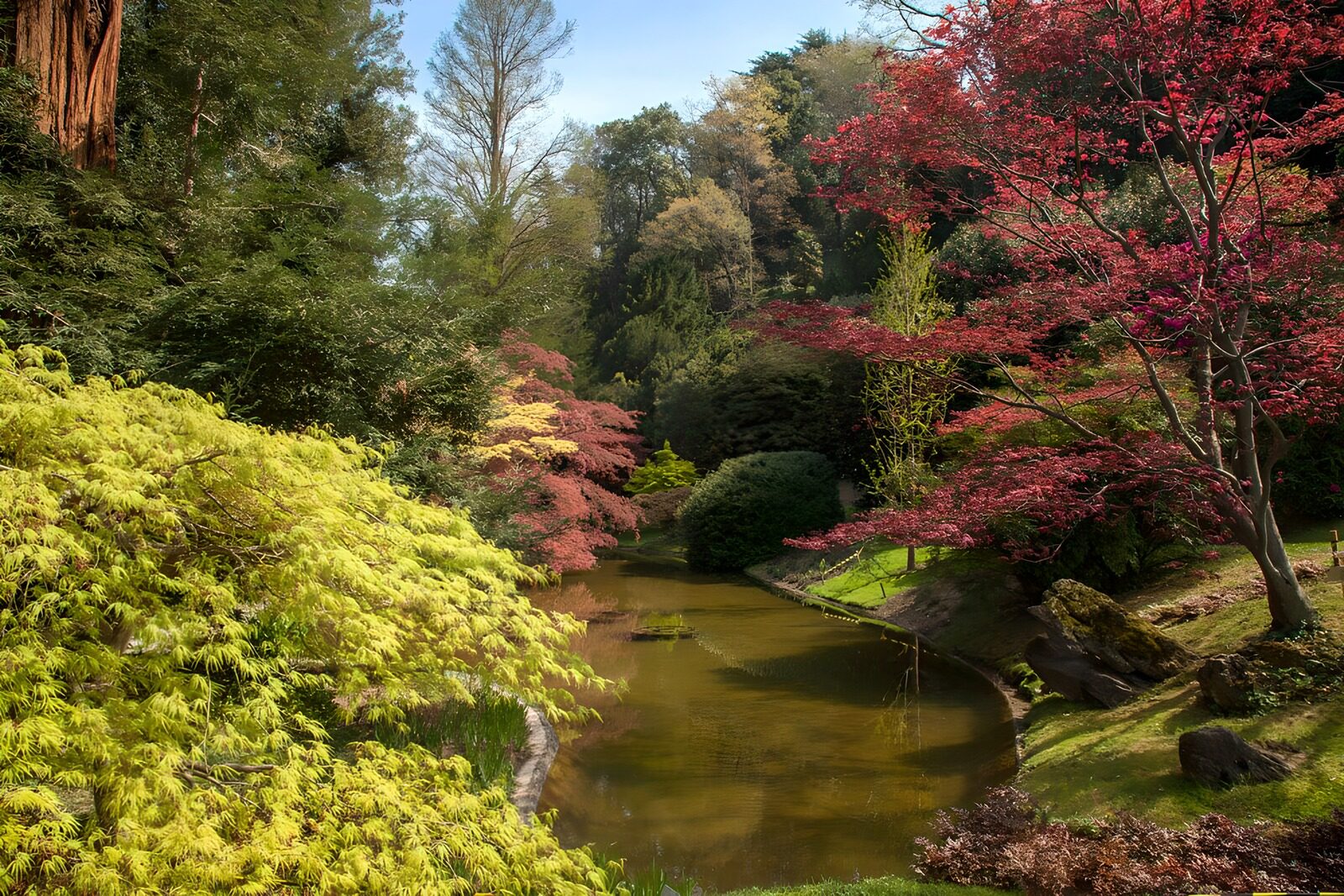 TPDE26094: Japanischer Garten mit farbenprächtigen Bäumen und einem Teich