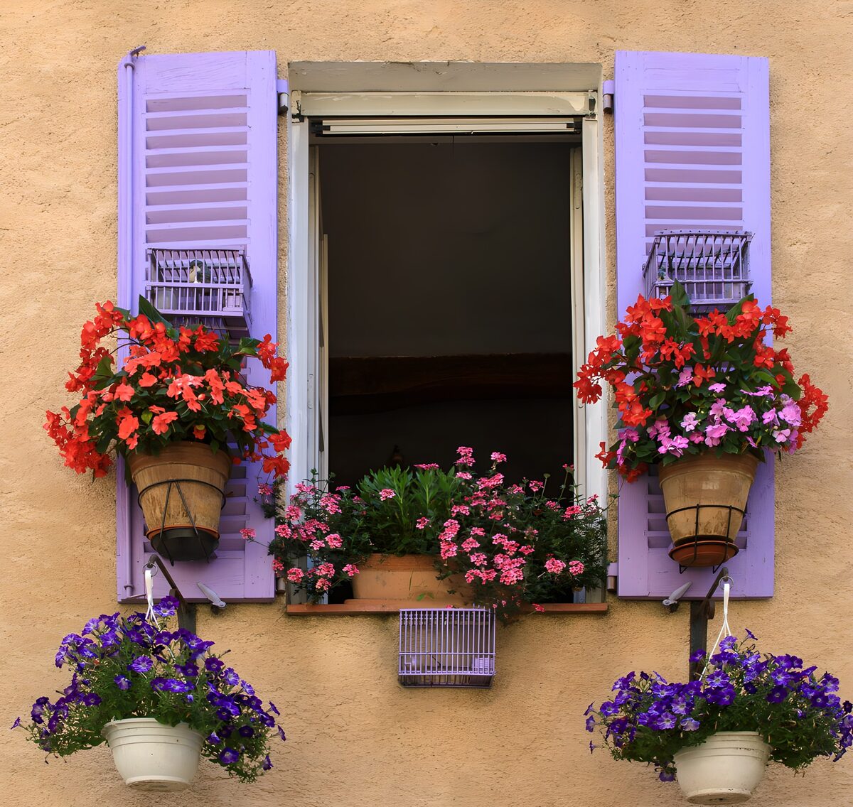 Bunt blühendes Fenster mit Pflanzkästen