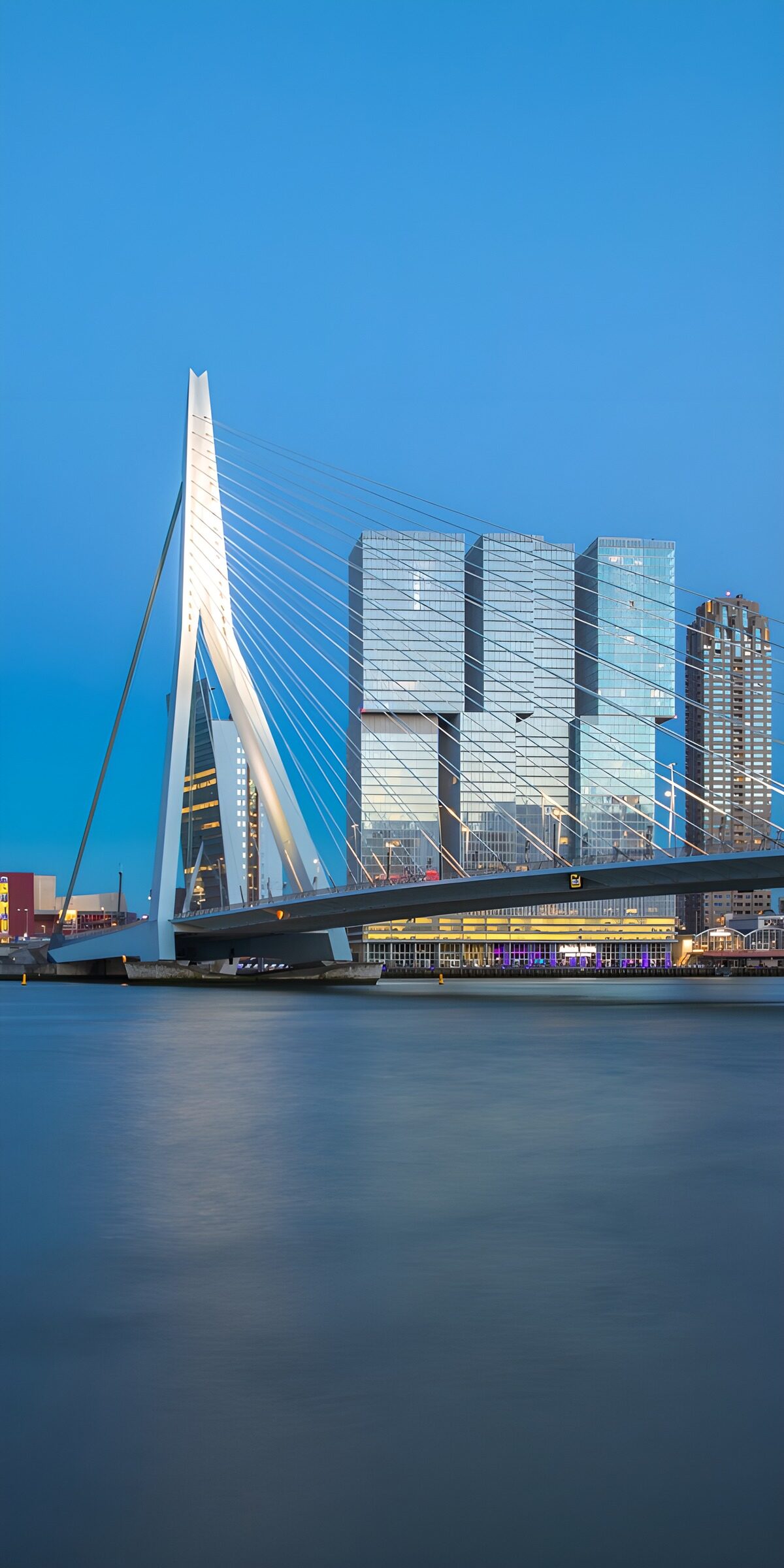 Wuchende Skyline von Rotterdam