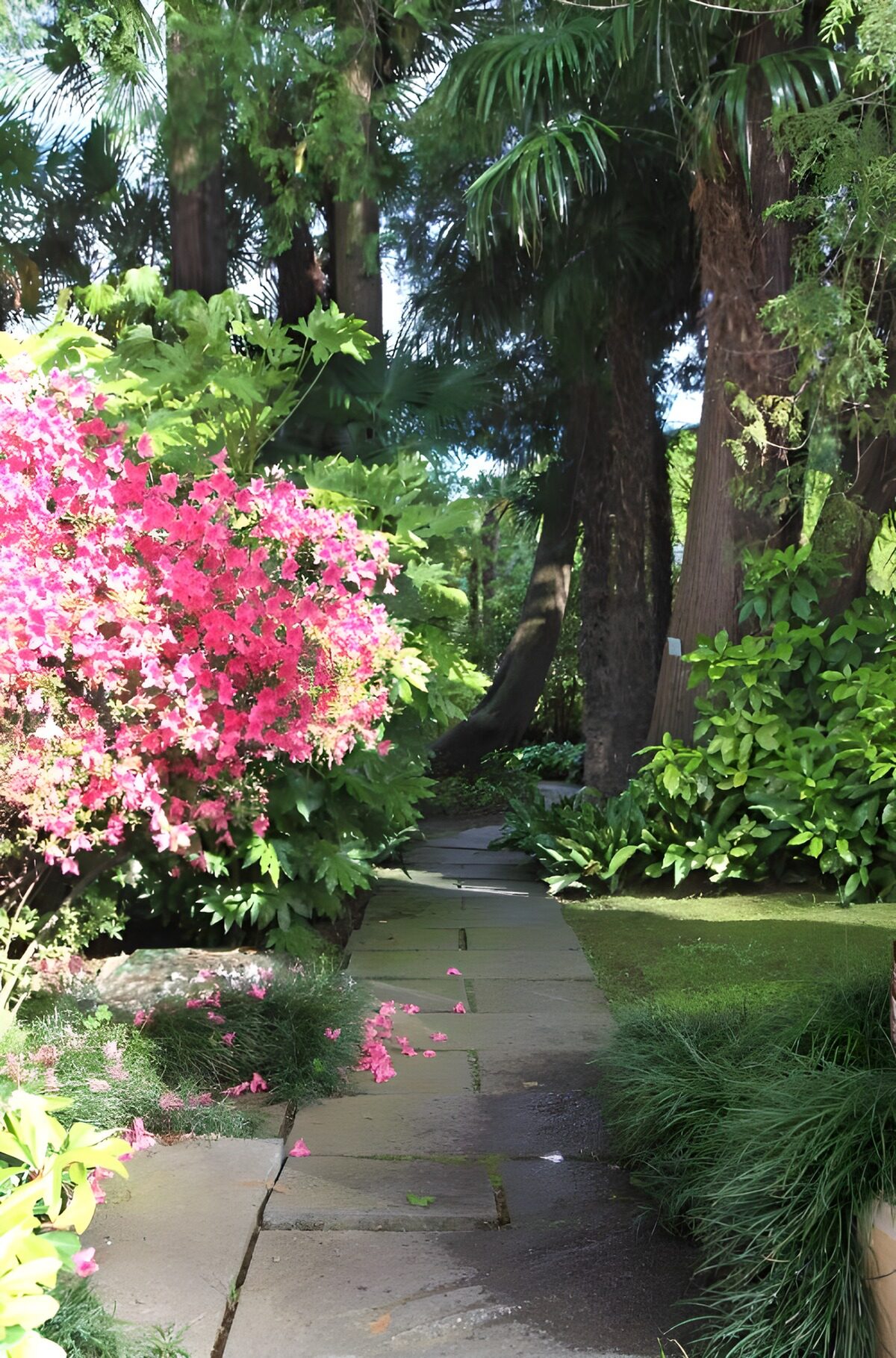 holpriger Weg mit Blumen, Stauden und Bäume in einem japanischen garten