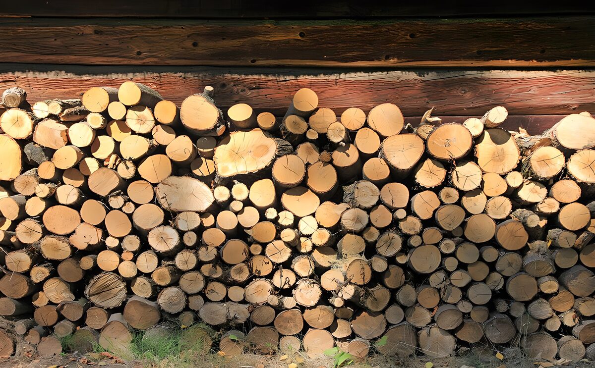 TPDE47997: Kaminholz für den Winter unter dem Dach vom Bauernhof gelagert