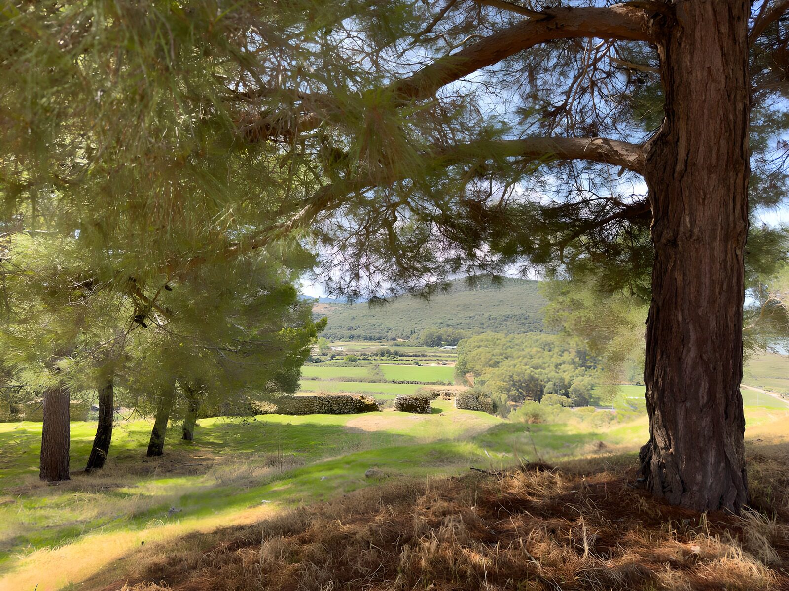 TPDE26141: Ruhige Landschaft unter dem Baum