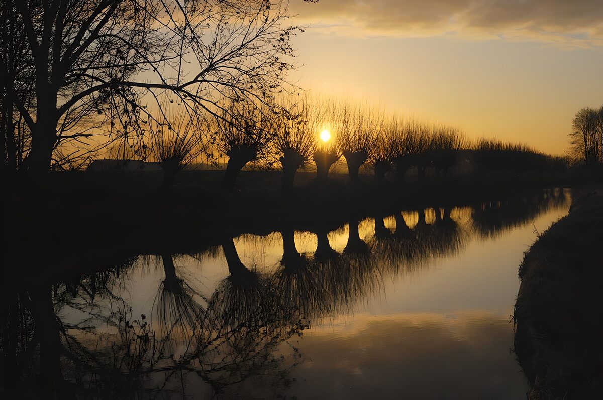 Spiegelung der Kopfweiden im Fluß kurz vor Sonnenuntergang