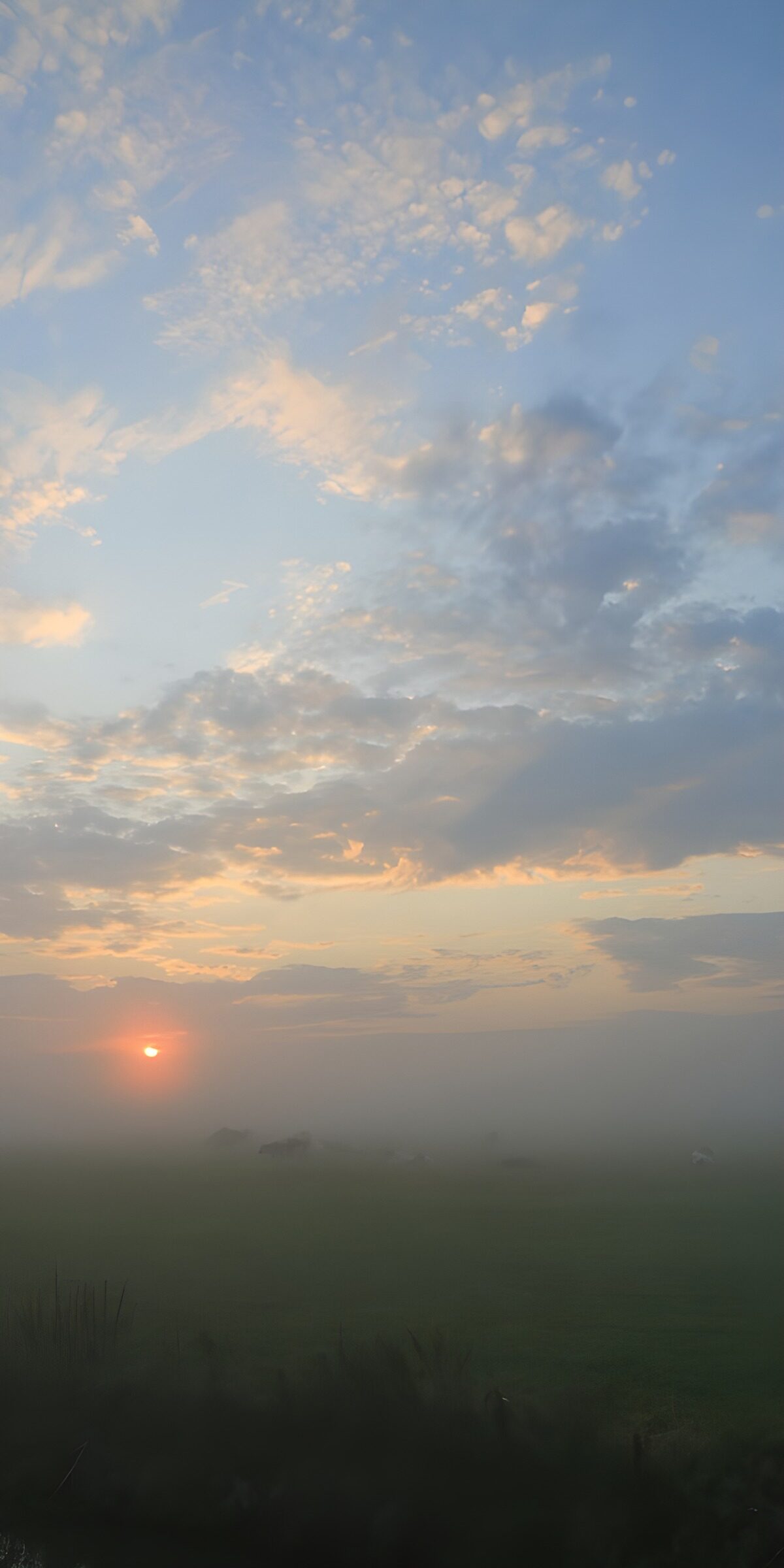 Nebeliger Sonnenaufgang über Wiesen