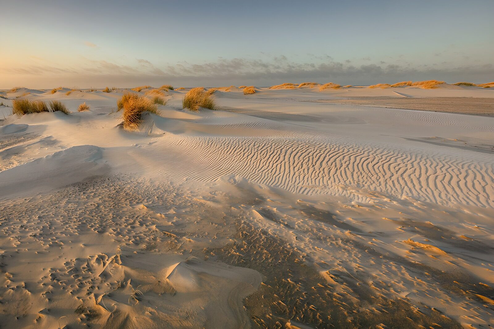 TPDE35407: Sanddünen im sanften Sonnenlicht