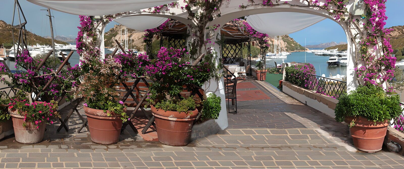 TPDE42109: Charmante Terrasse am Hafen