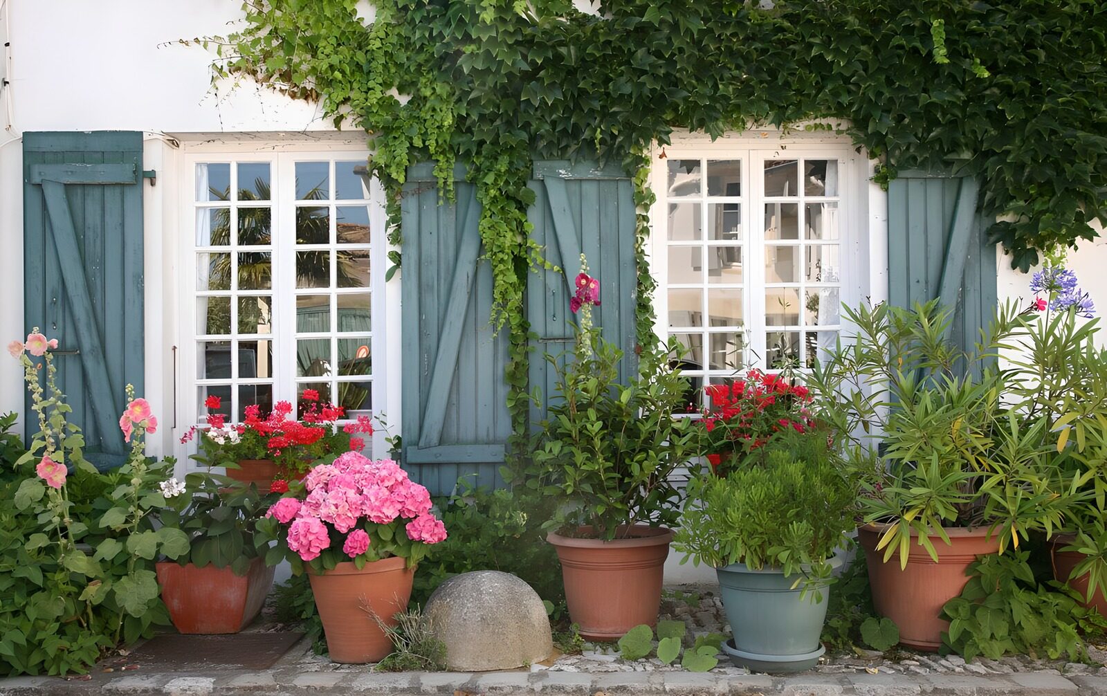 TPDE21091: Blumentöpfe mit blühenden Pflanzen vor einem Haus mit blauen Fensterläden