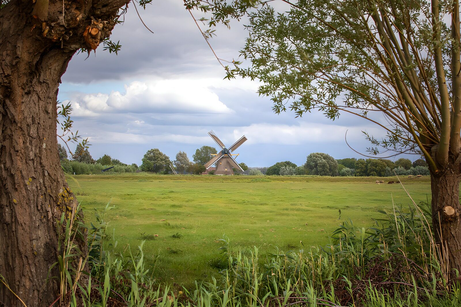 TPDE18218: Windmühle im Grünen