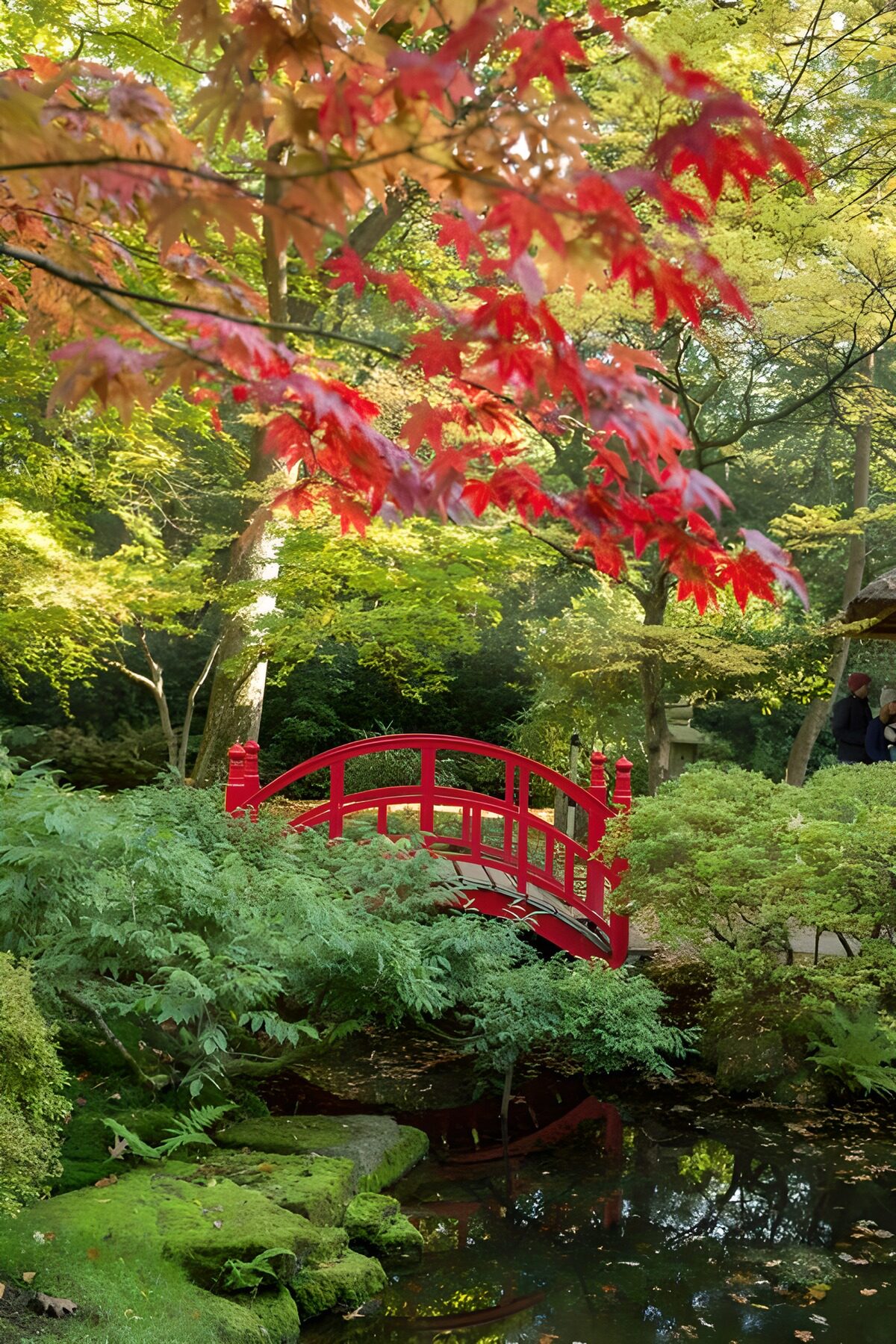 TPDE33350: stilvolle Brücke mit rotem Geländer in einem japanischen Garten