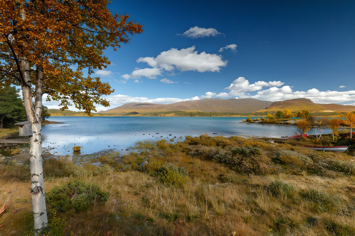 Herbstliche Landschaft am See