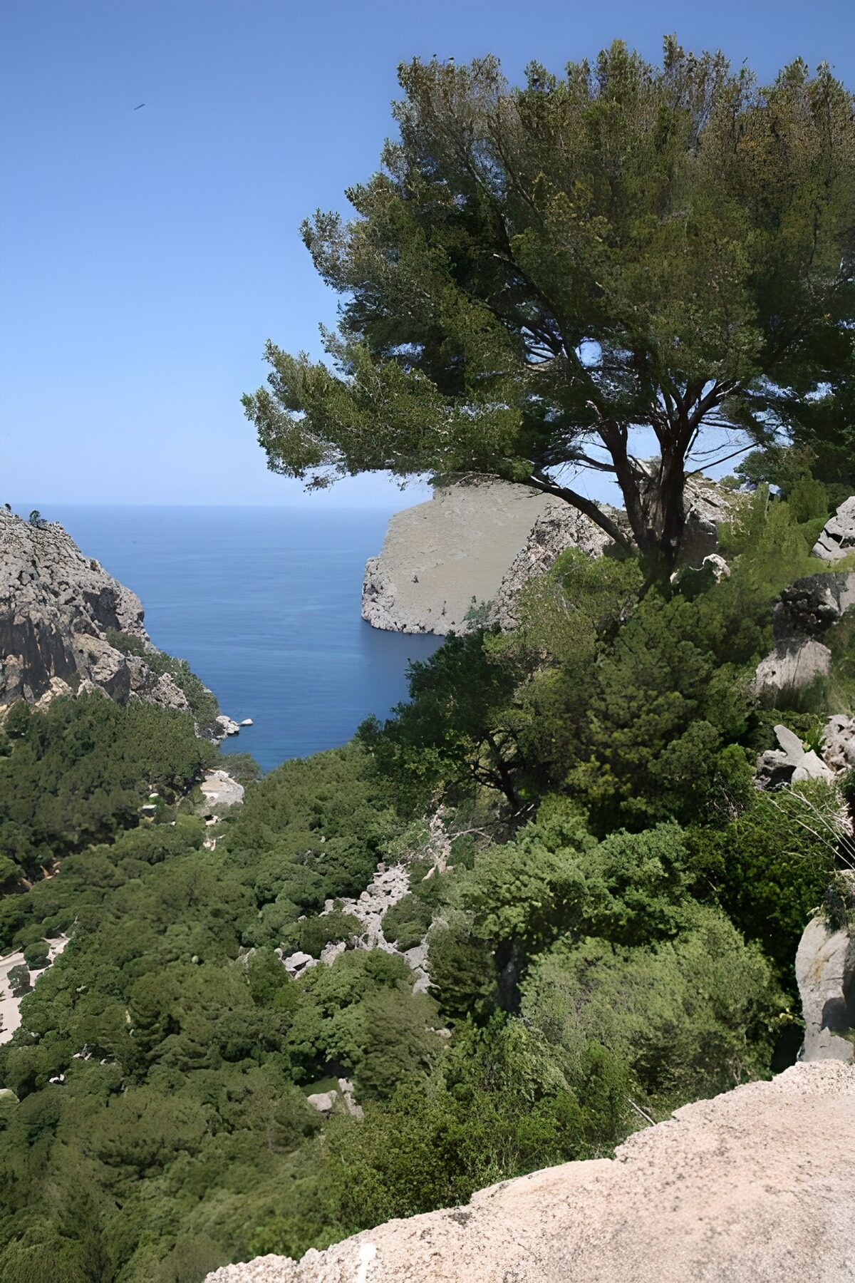 Blick auf eine Bucht an der Côte d'Azur 
