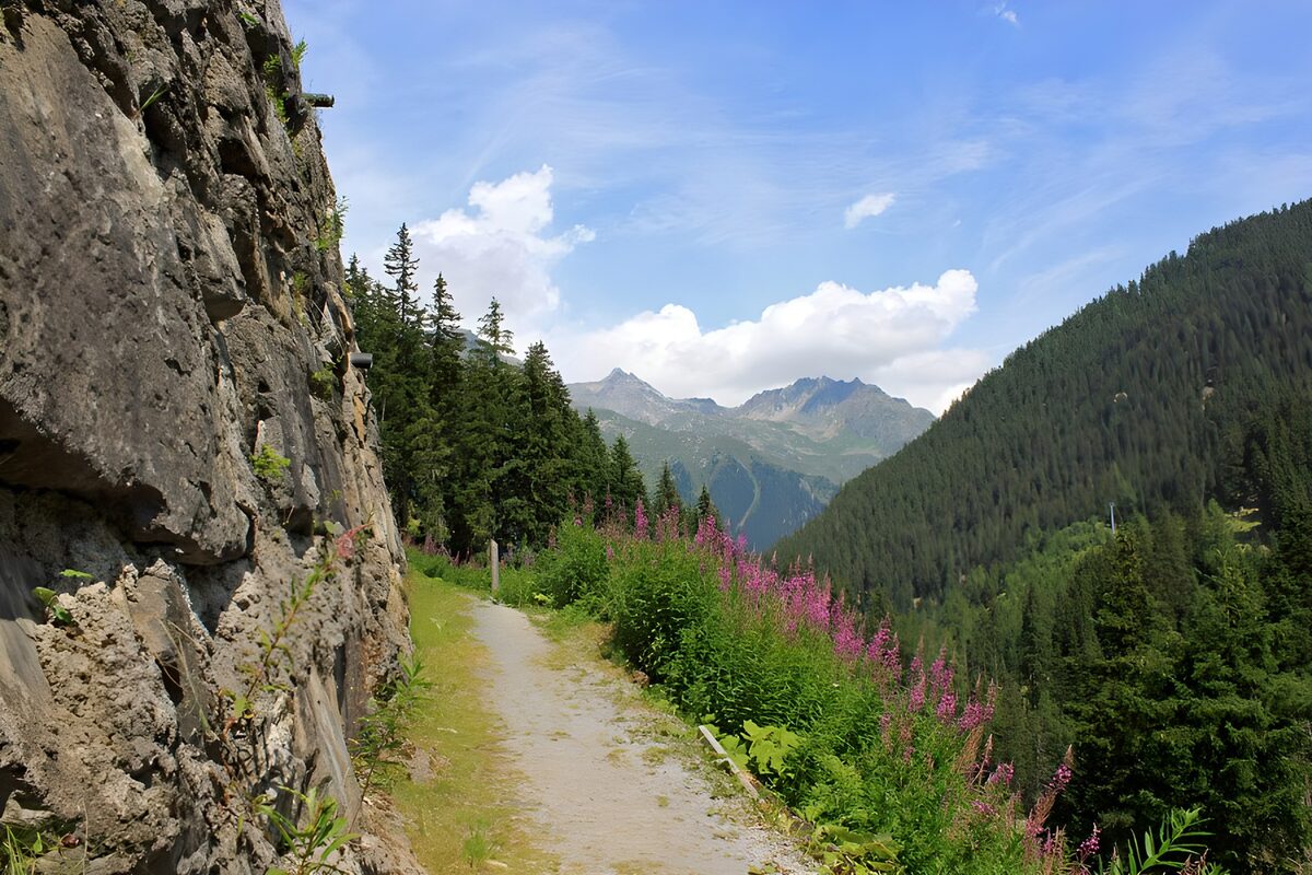 TPDE54382: schmaler Pfad am Berg entlang mit Blick auf die Alpen