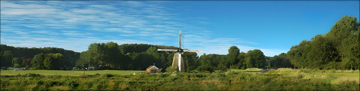 TPDE82558: niederländische Graslandschaft mit Mühle im Hintergrund