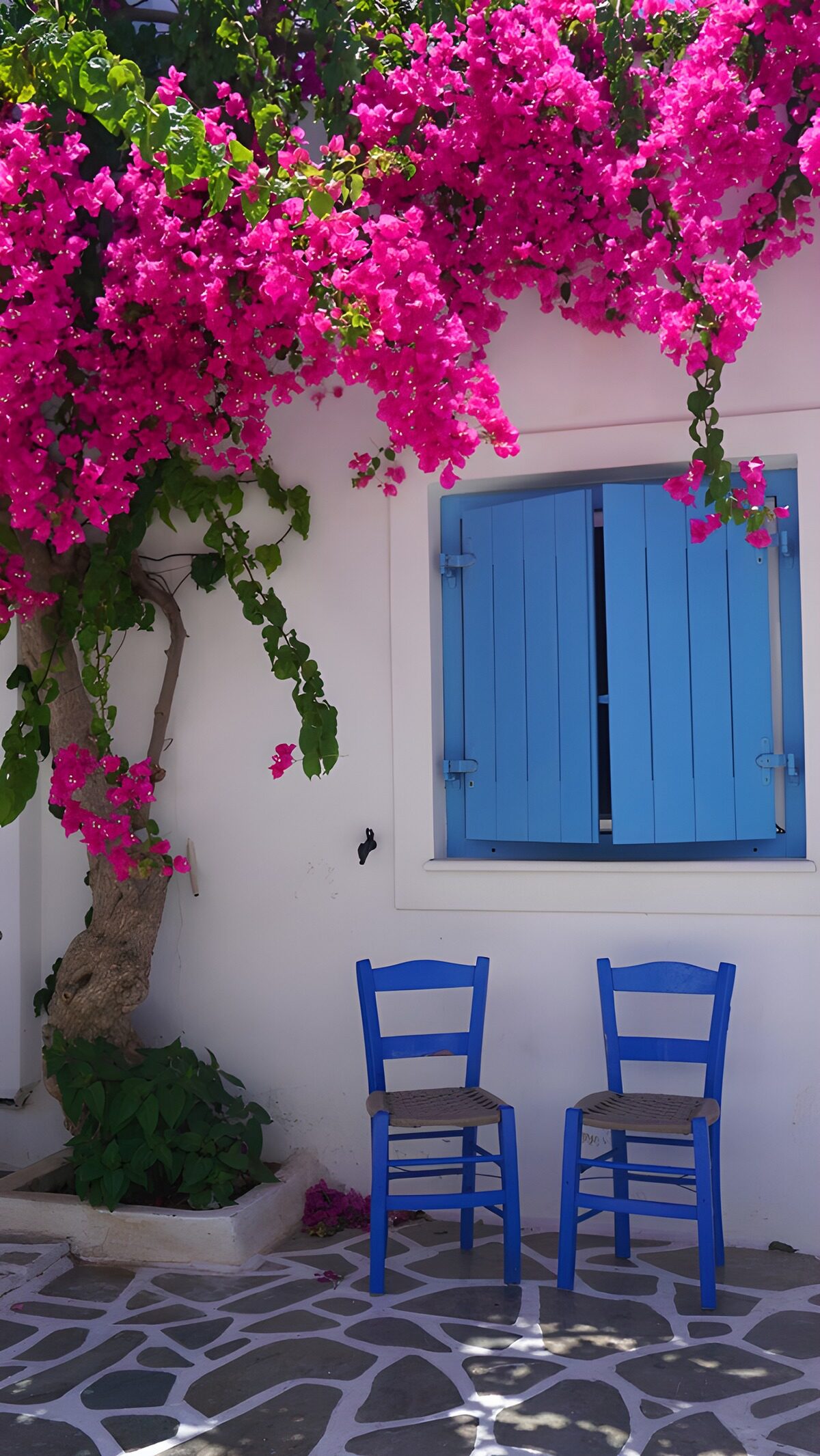 TPDE33569: Blau und Pink im mediterranen Stil
