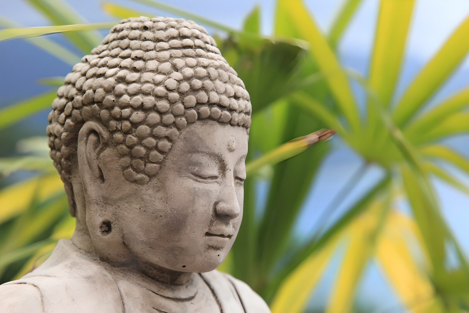 TPDE40717: Buddha-Statue vor einem Hintergrund mit Palmblättern und Blick aufs Meer